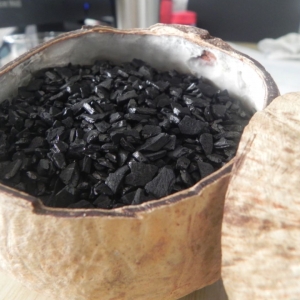 Coconut shell activa